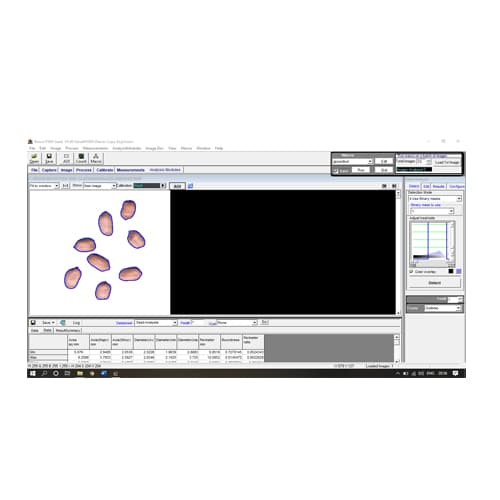 Seed Analyser — S2000
