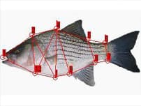 Further application imagery — Gallery